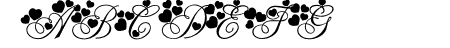 NewUnicodeFont
