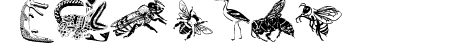 RareAnimals