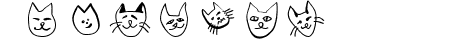 CatSketches