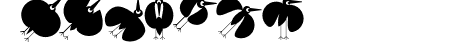 BirdsToolbox
