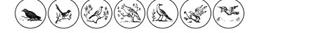 OldBirdsTwo