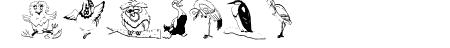 BirdsOSeven