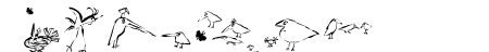 SaulsRandomBirds