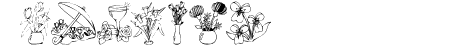 KR Bloom Bonanza