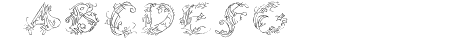 CalliPsoGrafia  Italic