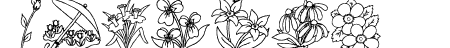 DT Flowers 2