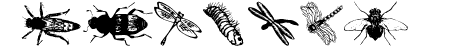 wminsects1