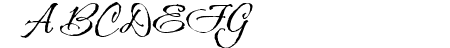 CAC Shishoni Brush