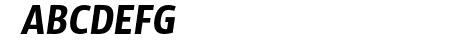 SansusWebissimo-Italic