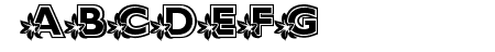 Lily Flower
