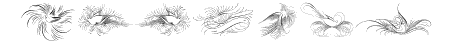 Penmanship Birds and Orna