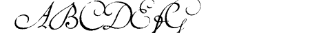 Volutes