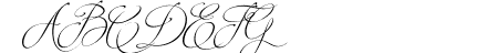 Brotherhood Script