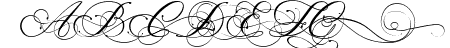 Magnolia  Italic