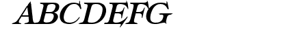 Typography Times Bold Ita