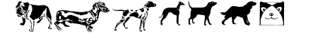 New Year Dingbats