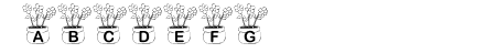 KR Three Flowers