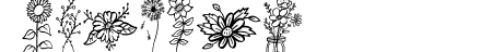 Garden Flowers