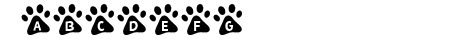MF Paw Prints