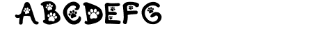Kitten Paws Regular