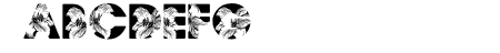FLORALPERSONALUSE-Bold