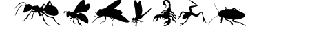 Creepy Crawlies