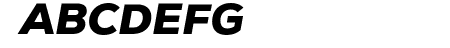 Nexa-Trial Black Italic