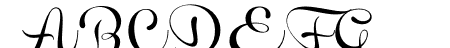 Novety Script PERSONAL US