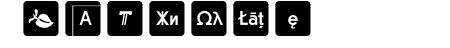 Icons OpenType Regular