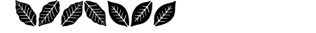 Aromatron Ornaments