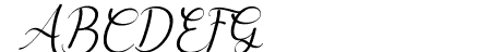 Delyna Italic