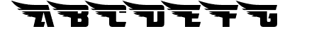American Kestrel Straight