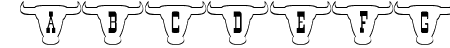 101! Texan Style