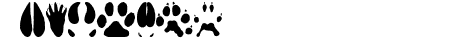 AnimalTracks