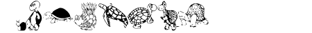 KR Turtles For Julie