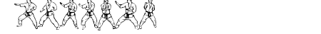 McCoy Dingbat Karate