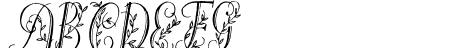 Springtime_Flourish