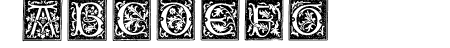 TypographerWoodcutInitial