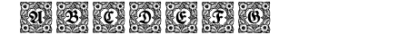 Schmuck-Initialen 1