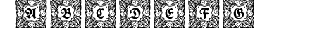Schmuck-Initialen 3