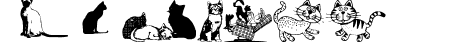 cats_csp