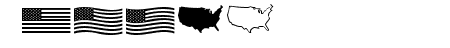 US Flag