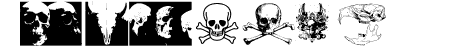 SKULL TS 2