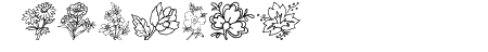 Traditional Floral Design