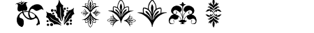 lpflowers2