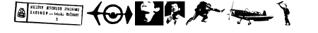 letiskovy flashtrace