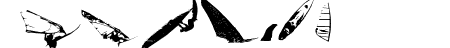 Surf Bat [Windsurfing Din