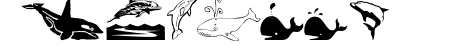 Orcas
