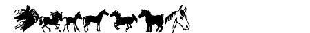 horsedings