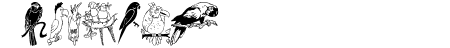 LCR Parrot Talk